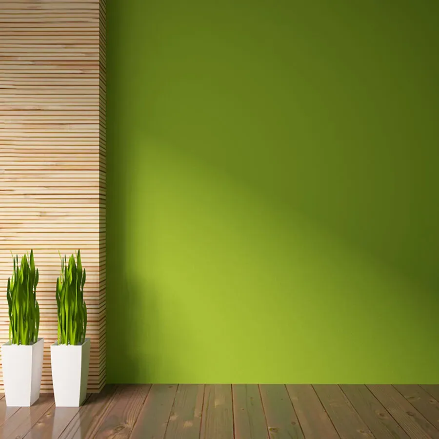 There are two potted plants in front of a green wall.